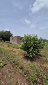 Greenagro Bio Plaantec