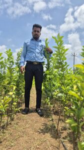 Greenagro Bio Plaantec