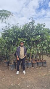 Greenagro Bio Plaantec