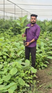 Greenagro Bio Plaantec