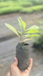 Greenagro Bio Plaantec