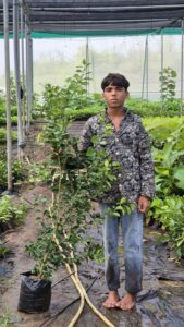 Greenagro Bio Plaantec
