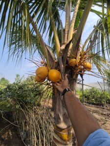 Greenagro Bio Plaantec