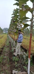 Greenagro Bio Plaantec