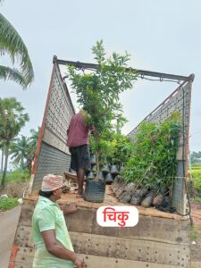 Greenagro Bio Plaantec