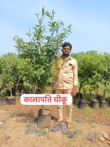 Greenagro Bio Plaantec