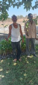 Greenagro Bio Plaantec