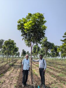 Greenagro Bio Plaantec