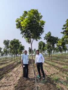 Greenagro Bio Plaantec