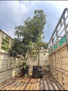 Greenagro Bio Plaantec