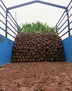 Greenagro Bio Plaantec