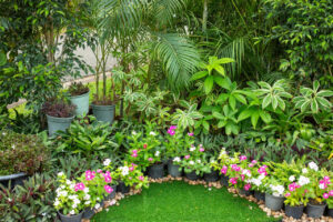 Greenagro Bio Plaantec