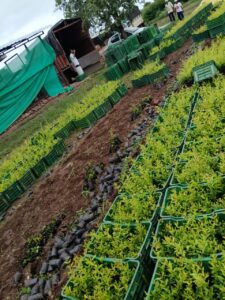 Greenagro Bio Plaantec