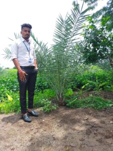 Greenagro Bio Plaantec