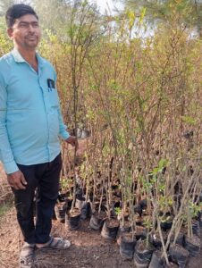 Greenagro Bio Plaantec