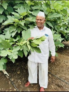 Greenagro Bio Plaantec