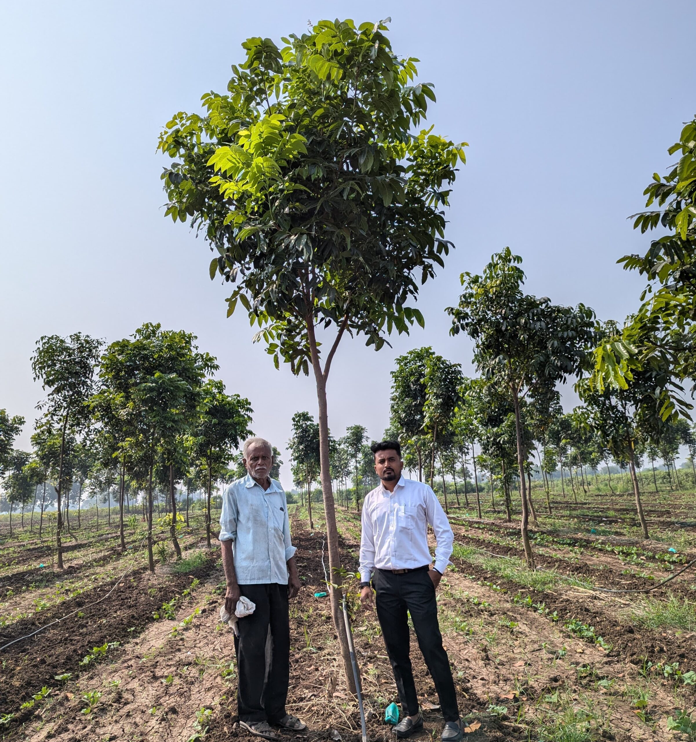 Greenagro Bio Plaantec