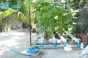 Greenagro Bio Plaantec
