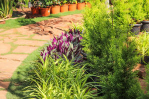 Greenagro Bio Plaantec